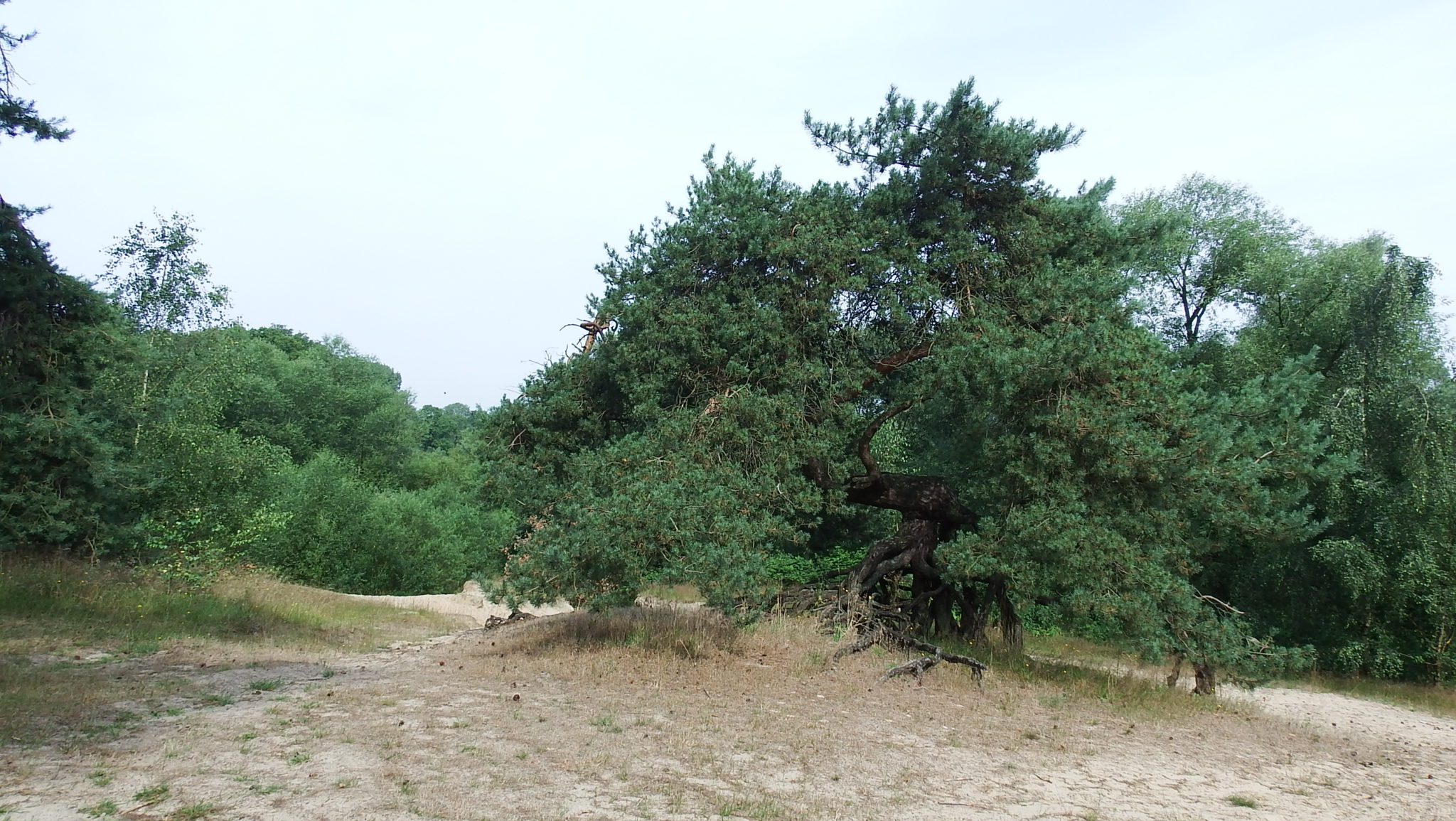 Natuurbegraafplaats Op Aust De Lutte